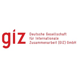 GIZ Logo